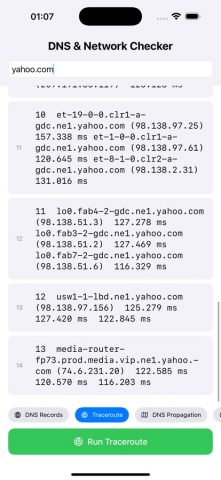 DnsChecker для iOS — скриншот 5