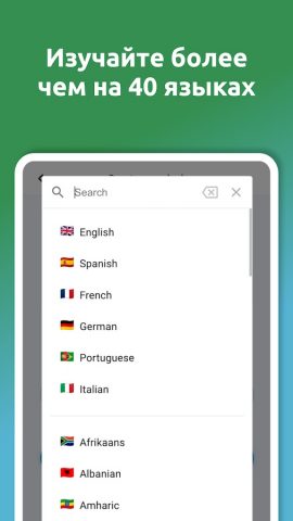 DuoCards — языковые карточки — скриншот 2