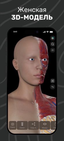 Easy Anatomy 3D для iOS — скриншот 1