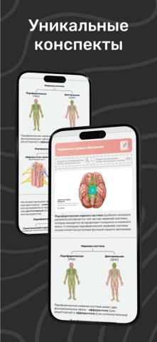 Easy Anatomy 3D для iOS — скриншот 5