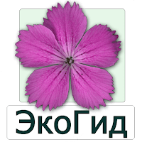 ЭкоГид: Цветы – Определитель для Android