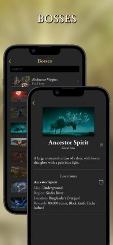 Elden Ring Nightreign Map для iOS — скриншот 3