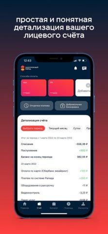 Электронный город для iOS — скриншот 2
