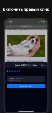 Enable Right Click for Safari для iOS — скриншот 1