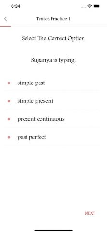 English Tenses Book для iOS — скриншот 4