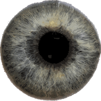 Eye Diagnosis для Android