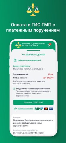 ФССП: проверка долгов по ФИО для iOS — скриншот 3