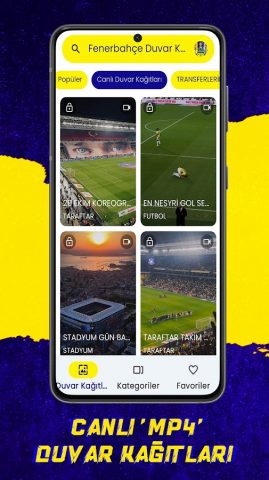 Обои Фенербахче для Android — скриншот 5