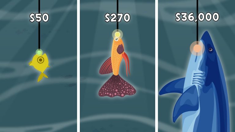 Fish Catching — Cat Fish Game для Android — скриншот 4