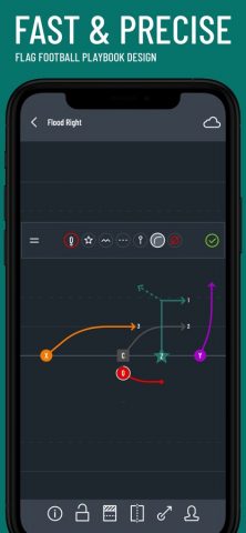 Flag Football Playmaker X для iOS — скриншот 2