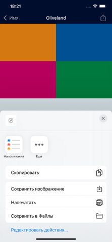 FlagDict+: Флаги мира для iOS — скриншот 5