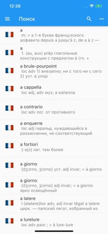 Французско-Русский Словарь. для iOS — скриншот 1