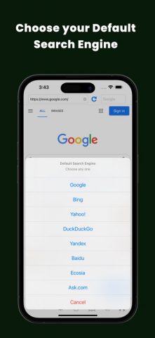 Приватны полноэкранный браузер для iOS — скриншот 3