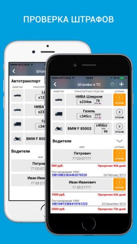 ГИБДД России edition для iOS — скриншот 3