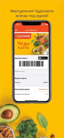 Гулливер для iOS — скриншот 2