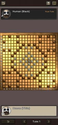 Hnefatafl для iOS — скриншот 5