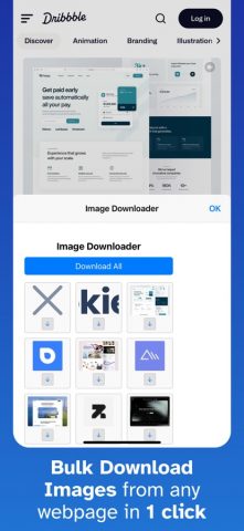 Image Downloader for Safari — скриншот 1