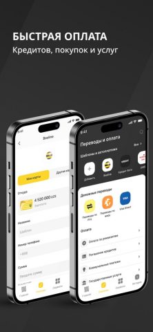 KAPITALBANK. Online для iOS — скриншот 4