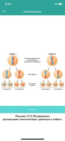 KPD-BIO для iOS — скриншот 4