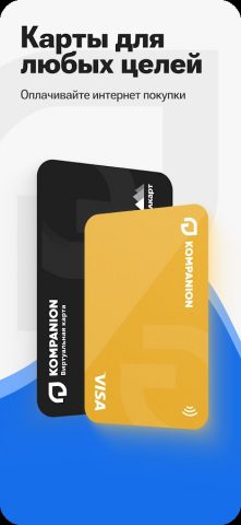 Компаньон для Android — скриншот 1