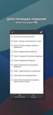 Конституция РФ. для iOS — скриншот 2