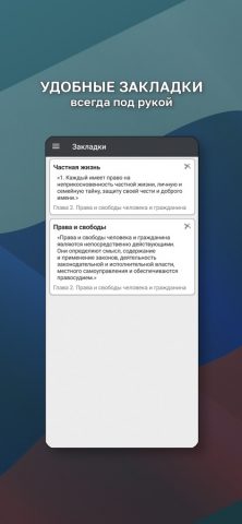 Конституция РФ. для iOS — скриншот 3