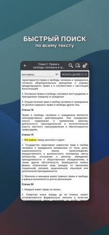 Конституция РФ. для iOS — скриншот 4