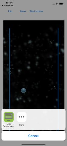 Larix Screencaster для iOS — скриншот 2