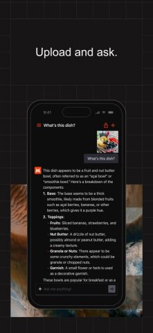 Le Chat by Mistral AI для iOS — скриншот 4