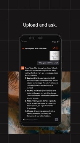 Le Chat by Mistral AI для Android — скриншот 4