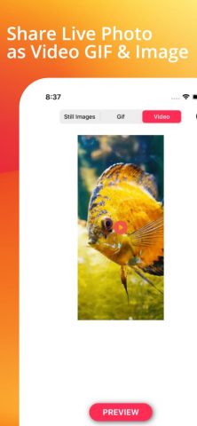 Live Photo Converter . для iOS — скриншот 5