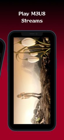 M3U8 Stream Player: TV & Video для iOS — скриншот 2