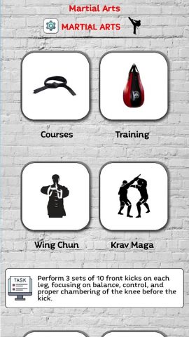 Martial Arts — Training для Android — скриншот 1