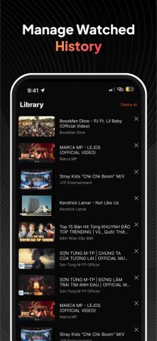 MinimizePlayer — PlayVideo для iOS — скриншот 4