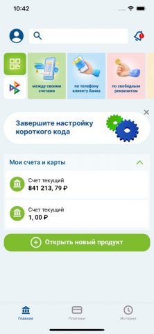 Мои деньги Online для iOS — скриншот 2