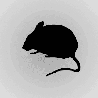 Mouse Sounds для Android