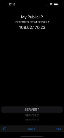 My Public IP для iOS — скриншот 2