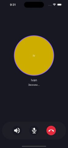 NNM для iOS — скриншот 2