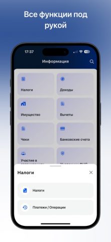 Налоги ФЛ для iOS — скриншот 3