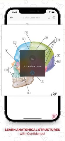 Netters Anatomy Flash Cards для iOS — скриншот 4