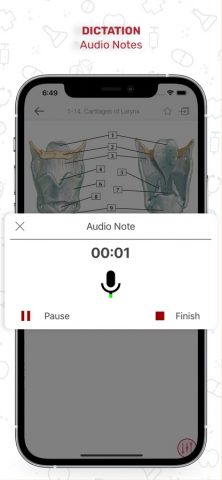 Netters Anatomy Flash Cards для iOS — скриншот 5