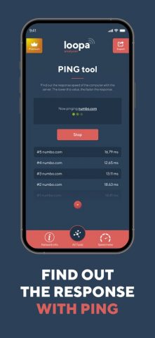 Network Analyzer Master: Loopa для iOS — скриншот 5