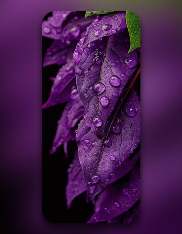 Обои Apex 4K для Android — скриншот 5