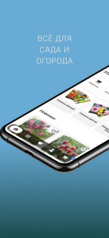 Onlinesemena для iOS — скриншот 1