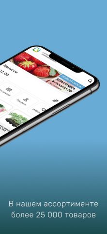 Onlinesemena для iOS — скриншот 2