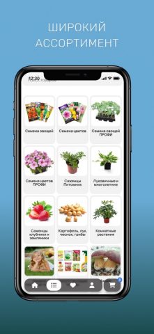 Onlinesemena для iOS — скриншот 4