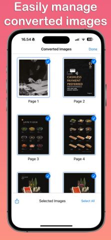 PDF to JPEG ™ для iOS — скриншот 2