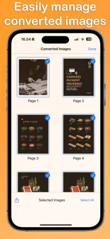 PDF to PNG Converter для iOS — скриншот 2