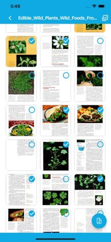 PDFTOJPG: Convert PDF to Image для iOS — скриншот 2