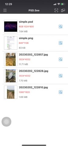 PSD.See для iOS — скриншот 1
